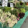 Photo of Miramonte Farm & Nursery