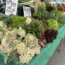 Miramonte Farm & Nursery - Mix of affordable vegetables at the San Francisco Farmers Market San Francisco