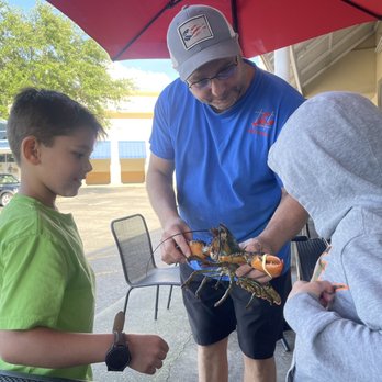 Lobster Pound - The boys checking out a lobster! - Seafood Markets Near Me - Bradenton, Florida