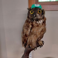 Nature Center At Shaker Lakes