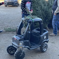 Quarter Pine Tree Farms