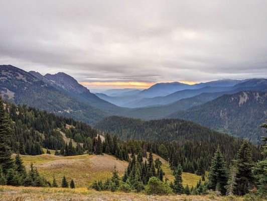 Hurricane Ridge by null
