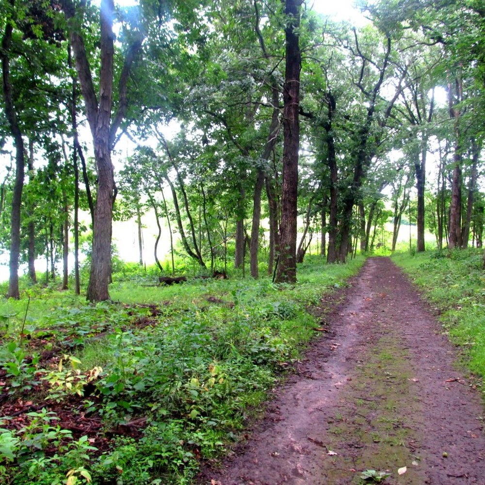 Crabtree Nature Center - Trails - Hiking Near Me - Barrington, Illinois Crabtree Nature Center - Trails - Hiking Near Me - Barrington, Illinois