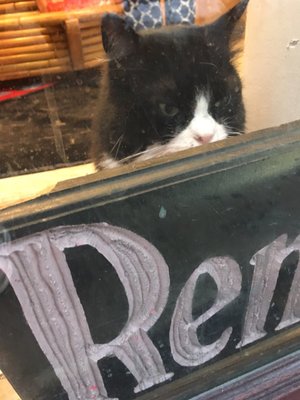 Reminiscence by null