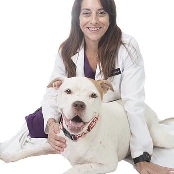 Surf Paws Animal Hospital - Dr Cristina Miliaresis of Surf Paws Animal Hospital and IPO - Veterinarians Near Me - Honolulu, Hawaii Surf Paws Animal Hospital - Dr Cristina Miliaresis of Surf Paws Animal Hospital and IPO - Veterinarians Near Me - Honolulu, Hawaii