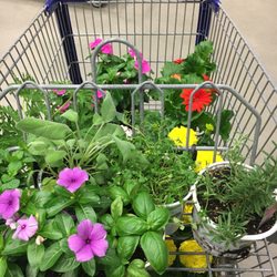 Lowe's Home Improvement