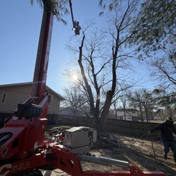 Ecoland Maintenance - Tree Services Near Me Ecoland Maintenance - Tree Services Near Me