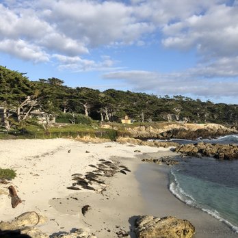 Pebble Beach - Beaches Near Me Pebble Beach - Beaches Near Me
