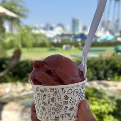 Parfait Paris - Blood Peach Hibiscus and Strawberry Gelato (small)
