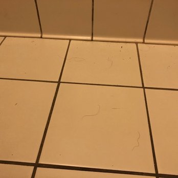 Quality Inn Elizabeth City Near University - Filthy bathroom floor - Hotels Near Me - Elizabeth City, North Carolina Quality Inn Elizabeth City Near University - Filthy bathroom floor - Hotels Near Me - Elizabeth City, North Carolina