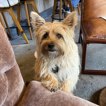 Malendrina Wine Bar - Ralph! - Wine Bars Near Me - Hermosa Beach, California Malendrina Wine Bar - Ralph! - Wine Bars Near Me - Hermosa Beach, California