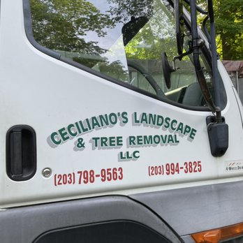 Ceciliano’s Landscaping & Tree Removal - Ceciliano's landscaping and tree removal - Tree Services Near Me Ceciliano’s Landscaping & Tree Removal - Ceciliano's landscaping and tree removal - Tree Services Near Me