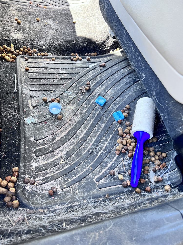 CLASSY CHASSIS Updated September 2024 26 Photos & 33 Reviews 2855