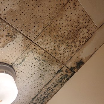 SunCliff on the Lake - Mold on ceiling in Annex room - Hotels Near Me - Derby, New York SunCliff on the Lake - Mold on ceiling in Annex room - Hotels Near Me - Derby, New York