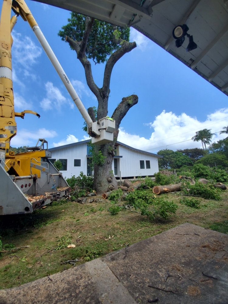 OFA LANDSCAPING & MASONRY EXPERTS 105 Photos & 30 Reviews Aiea