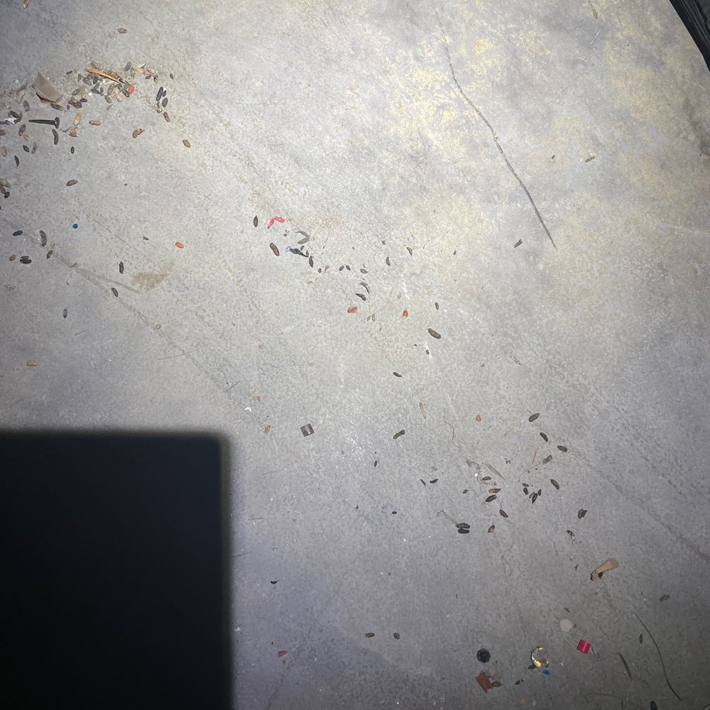 Mouse droppings inside unit.