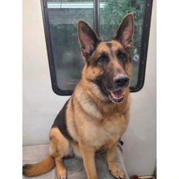 Custom K9's Mobile Grooming - Pet Groomers Near Me - Lathrop, California
