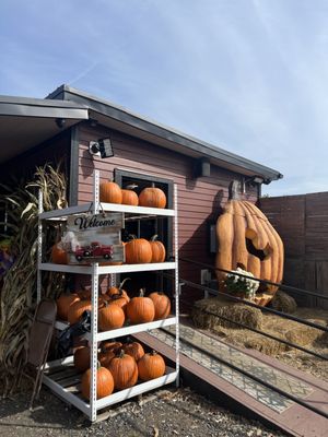 Dr Davies Farm by null