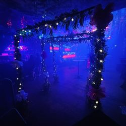 Brooklyn Burj - Jungle theme venue