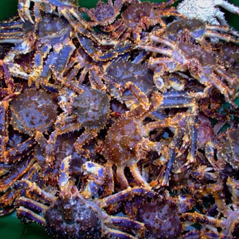 Dayrich Trading - Live alaskan King crab imported directly from the boat, retail at wholesale price. - Wholesale Stores Near Me - Brooklyn, New York Dayrich Trading - Live alaskan King crab imported directly from the boat, retail at wholesale price. - Wholesale Stores Near Me - Brooklyn, New York