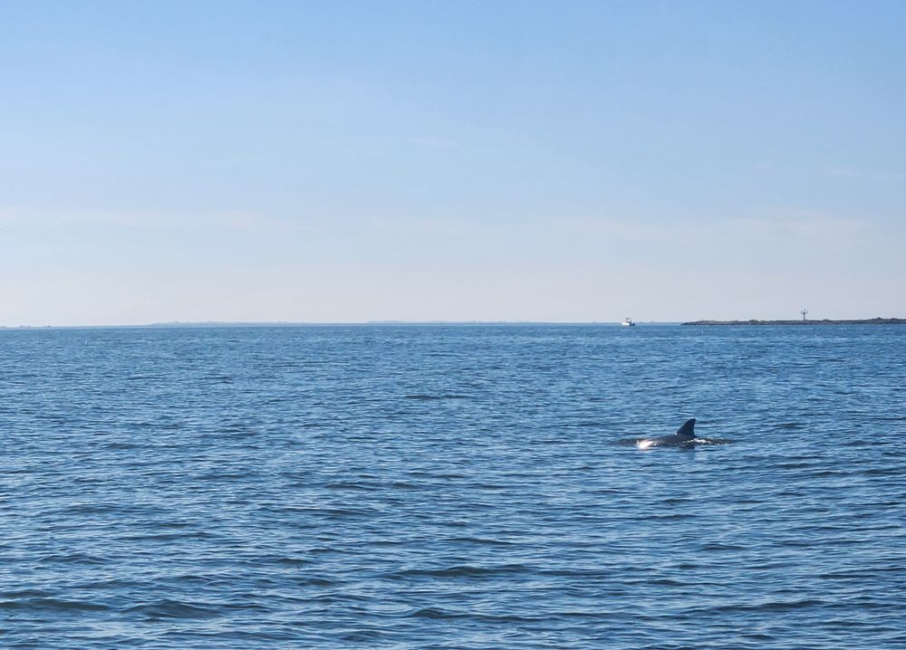 Outer Banks Adventures & Water Sports
