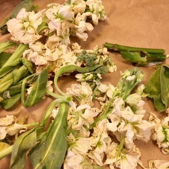 Flower d'amour - All the dead flowers I took out of the bouquet. - Florists Near Me - Vancouver, British Columbia Flower d'amour - All the dead flowers I took out of the bouquet. - Florists Near Me - Vancouver, British Columbia
