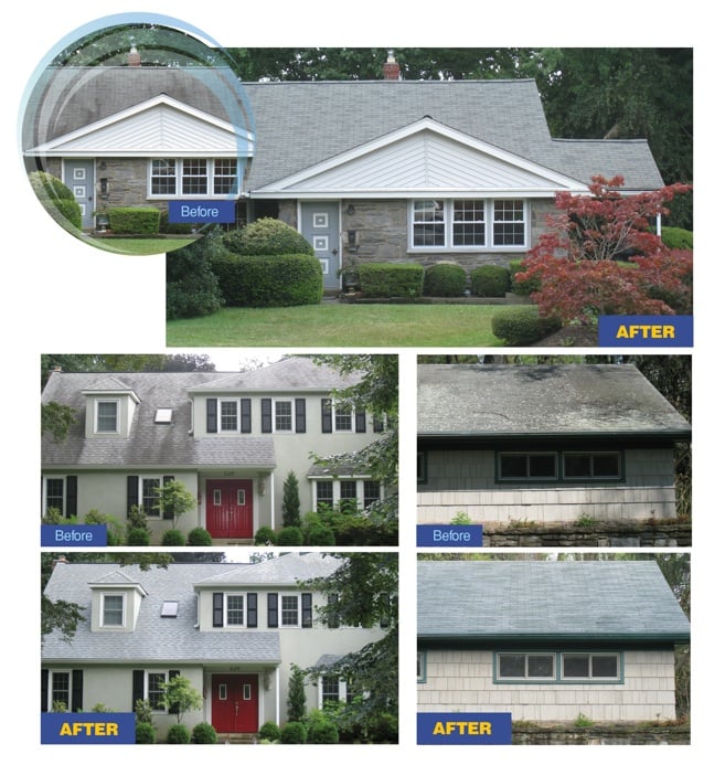 ROOF CLEANING PLUS Updated June 2024 353 Lancaster Ave, Malvern