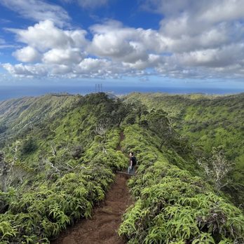 Wiliwilinui Ridge Trail - Hiking Near Me Wiliwilinui Ridge Trail - Hiking Near Me