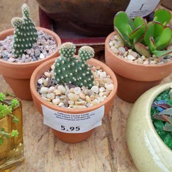 California Cactus Center - Nurseries & Gardening Near Me - Pasadena, California