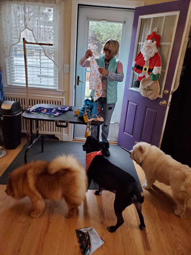 EXPRESS DOG NAIL TRIM AND GROOMING Updated October 2024 Weymouth