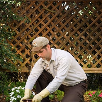 Lloyd Pest & Termite Control - Pest Control Near Me - Santa Ana, California Lloyd Pest & Termite Control - Pest Control Near Me - Santa Ana, California