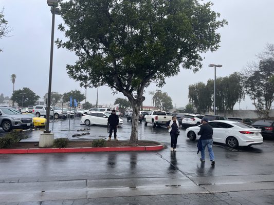 Fullerton DMV by null