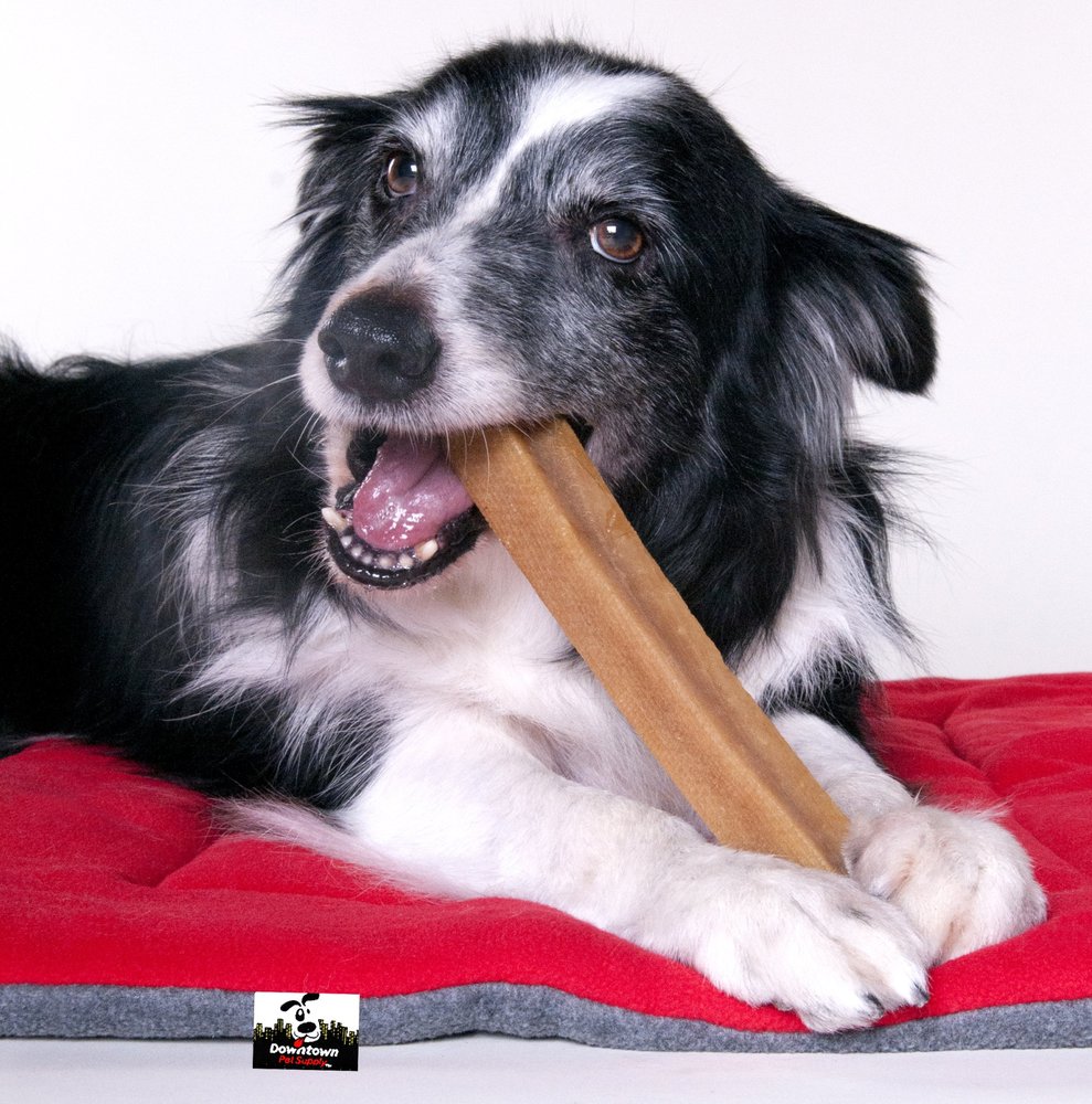 HALIFAX HUMANE SOCIETY THRIFT STORE 19 Photos & 20 Reviews 385 S