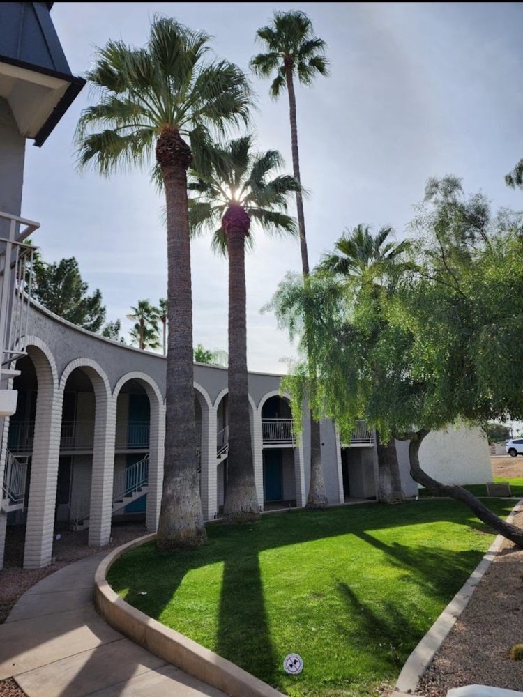 Scottsdale Fifth Avenue Apartments - property management company in Scottsdale, AZ