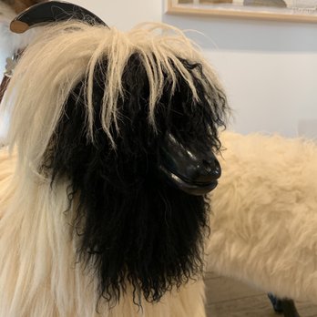 Layla - Missing a horn... - Mediterranean Near Me - Sonoma, California