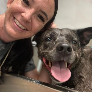 Harbor Dog Pet Spa - Pet Groomers Near Me - Tampa Bay, Florida Harbor Dog Pet Spa - Pet Groomers Near Me - Tampa Bay, Florida