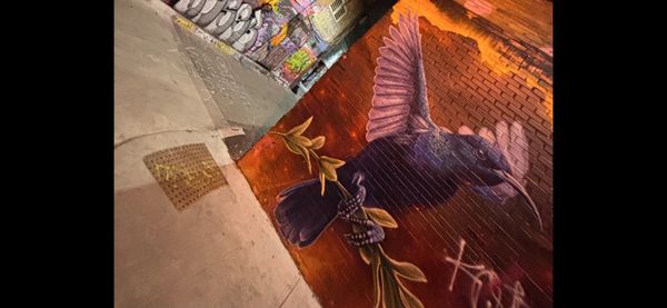 Graffiti Alley by null
