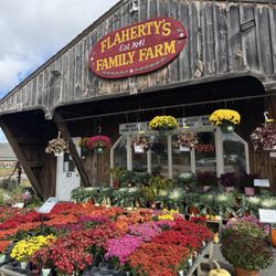 Flaherty's Family Farm - So pretty!