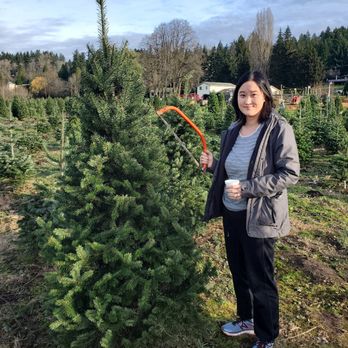 McMurtrey Farm - This is me in the u-cut farm with one of their hand saws and a cup of free hot apple cider. - Christmas Trees Near Me - Redmond, Washington