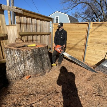 Full Circle Tree Service - The big saws have to come out when taking down trees like this! - Tree Services Near Me - Guthrie, Oklahoma