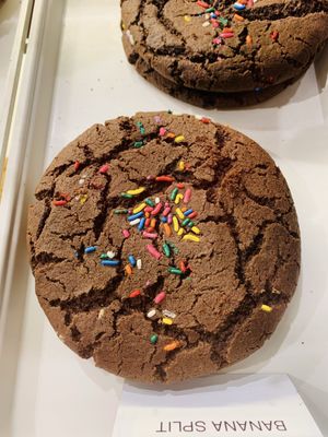 T-Rex Cookie Company by null