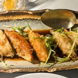 Le Colonial - Delray Beach - Chicken Dumplings