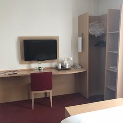 Ibis Lyon