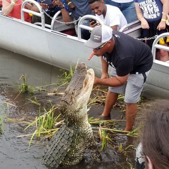 Airboat Adventures - Captain Dan feeding 'whodat' some snacks. - Boat Tours Near Me - Lafitte, Louisiana