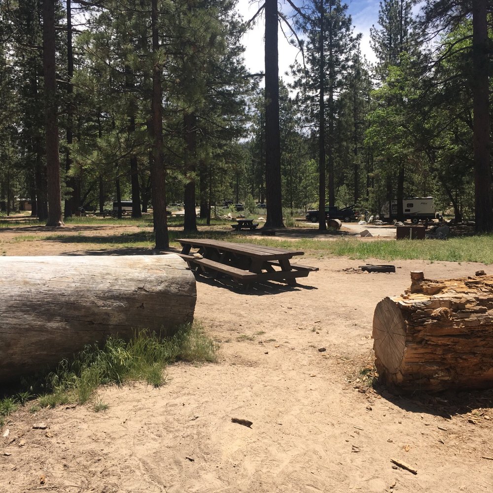 Barton Flats Campground - Campgrounds Near Me - San Bernardino, California