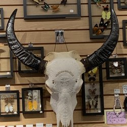 The "cow skull" is synonymous with folk/cowboy lore. It always reminds me of the "One of These Nights" album by Eagles.