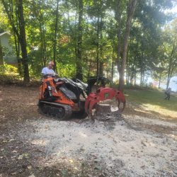 Lawns to Limbs Tree and Crane Services