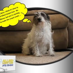 Allied Carpet Care LLC