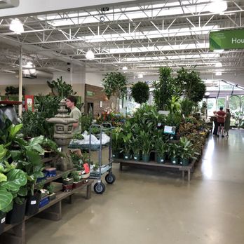 Pike Nurseries - Nurseries & Gardening Near Me - Atlanta, Georgia Pike Nurseries - Nurseries & Gardening Near Me - Atlanta, Georgia