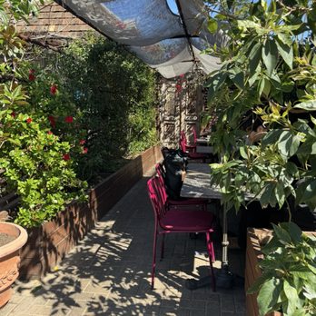 Il Giardino di Lilli - Coffee & Tea Near Me - San Diego, California Il Giardino di Lilli - Coffee & Tea Near Me - San Diego, California
